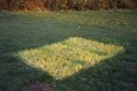 Recovering Grass