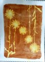 Field Daises-02-Sepia