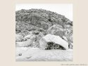 Marble quarries