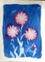 Pink Daisies