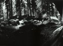 Campfire Circle