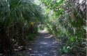 Barefoot Beach Park, Bonita Springs, Florida