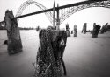 low tide outing--yaquina bay bridge