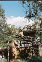 Expedition Everest