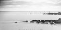 MSA - Public Spaces - Stillness in Motion