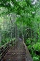 Boardwalk