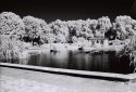Hyde Park