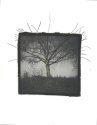 Negative construction/destruction