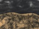 Dune at night