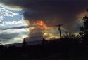 Coyote Fire, Spring 2014