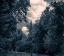 Clearing