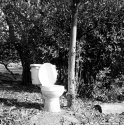 Outhouse?