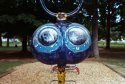 Bug Eyes