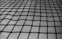EOS 3 Arista Premium Rodinal 1:50
