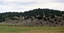 Gila River Nature Conservancy expedition, May 2014