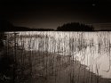 Moonlight shadows