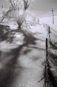 Snowbound Fence