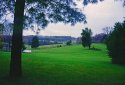 Horse Ranch