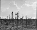 Nova Scotia 8x10 Adventure