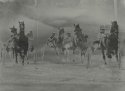 Horse racing