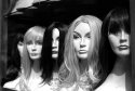 Plastic Beauty