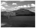 Meander, Tasmania