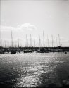 Public Places (Woca #2) - entry MSA July-Aug 14