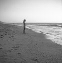shore