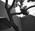 Courtyard, Georgia O'Keefe Museum