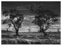 Symmons Plains, Tasmania