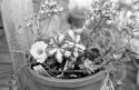 New film, new lens