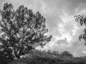 Storm Brewing #2