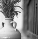 A vase