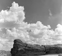 Petrified Forest nat'l Park