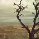 The North Rim