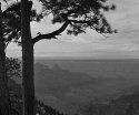 The North Rim