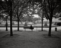 Somewhere in Paris