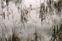 water and clouds