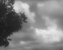 Shadow Storm