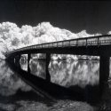 Bridge, Teddy Roosevelt Island, Washington DC