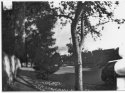 Pinhole 4x5 Dektol v. Caffenol