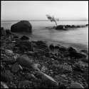 Shoreline; Lake Winnipeg (2014)