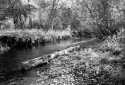 Sourdough Creek