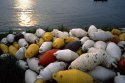 Buoys
