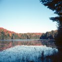 Jackson's Lake