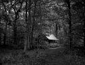 Cabin in the woods