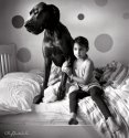 Little girl, big puppy