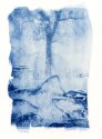 6x8  (approx) Cyanotypes - new process