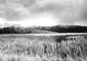 Boundary Creek WMA