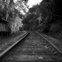 Vanishing Point
